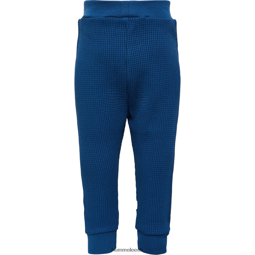 ee Hummel lapsed hmlcosy püksid N6442D4173 \"vahvlipuuvillased jooksupüksid\"