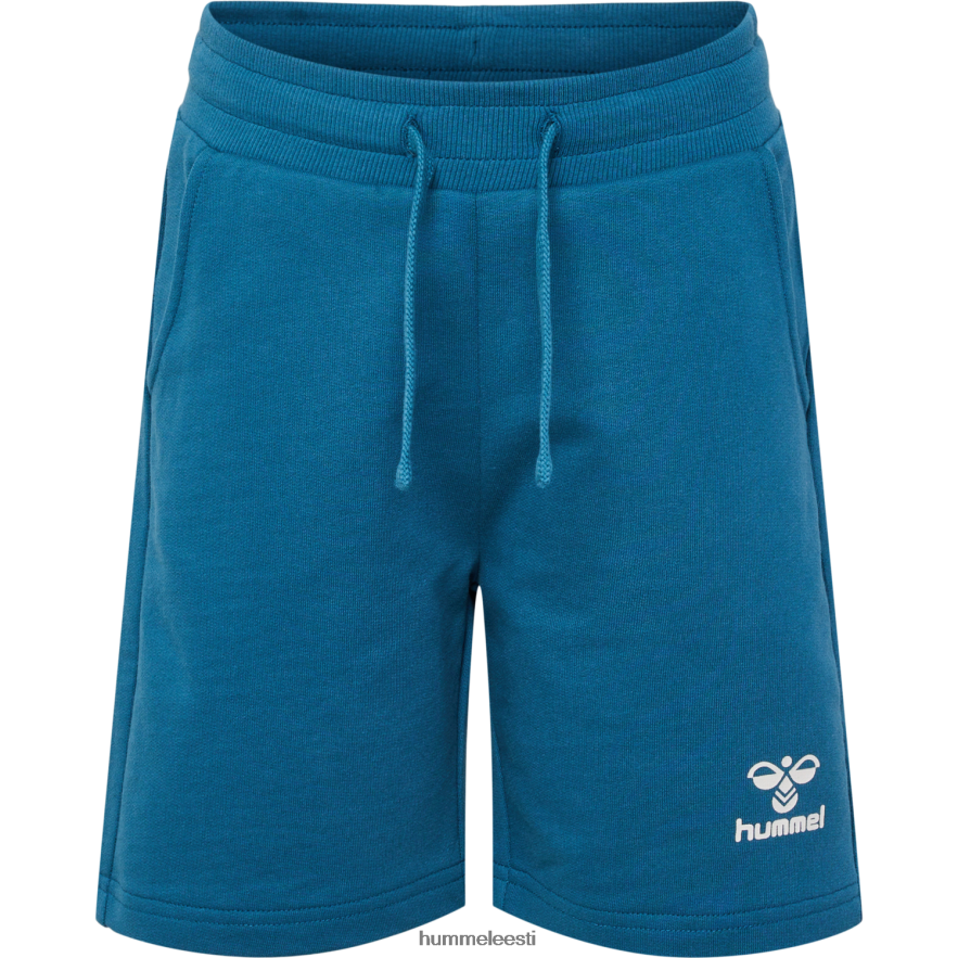 ee Hummel lapsed hmlflow lühikesed püksid N6442D5661 \"lühikesed püksid\"