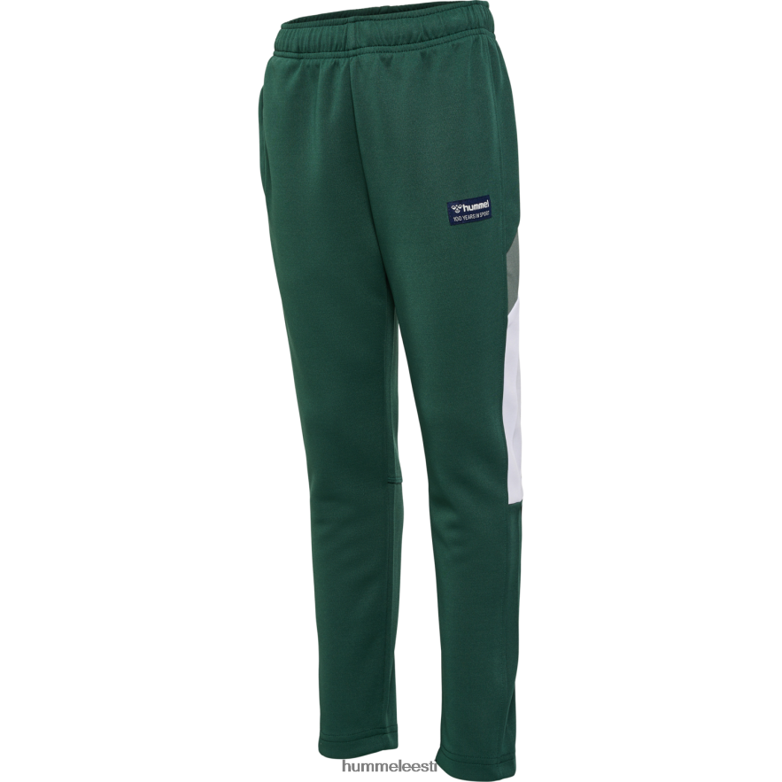 ee Hummel lapsed hmlruphus püksid N6442D4704 "blokeeringuga sörkijad"