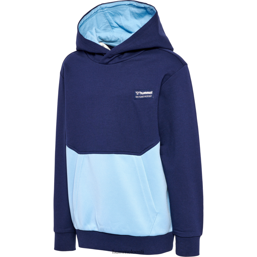 ee Hummel lapsed hmleddy kapuuts N6442D4797 "värviblokiga kapuuts"