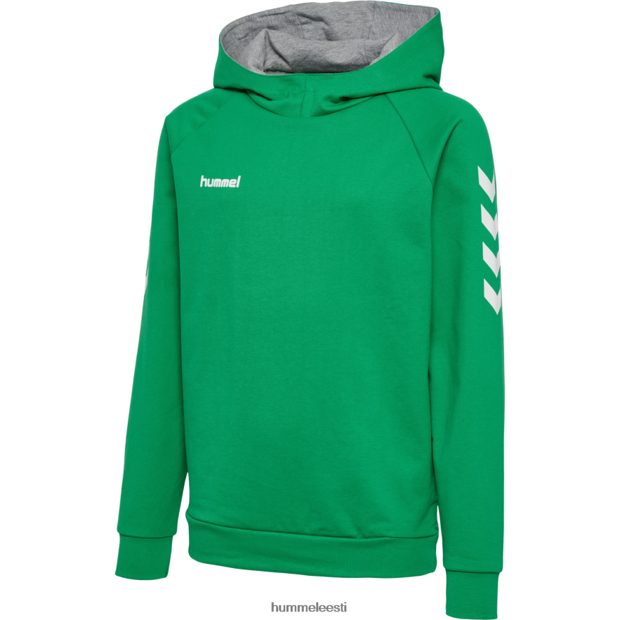 ee Hummel lapsed hmlgo puuvillane kapuuts N6442D5976 "hoodie ja dressipluusid"