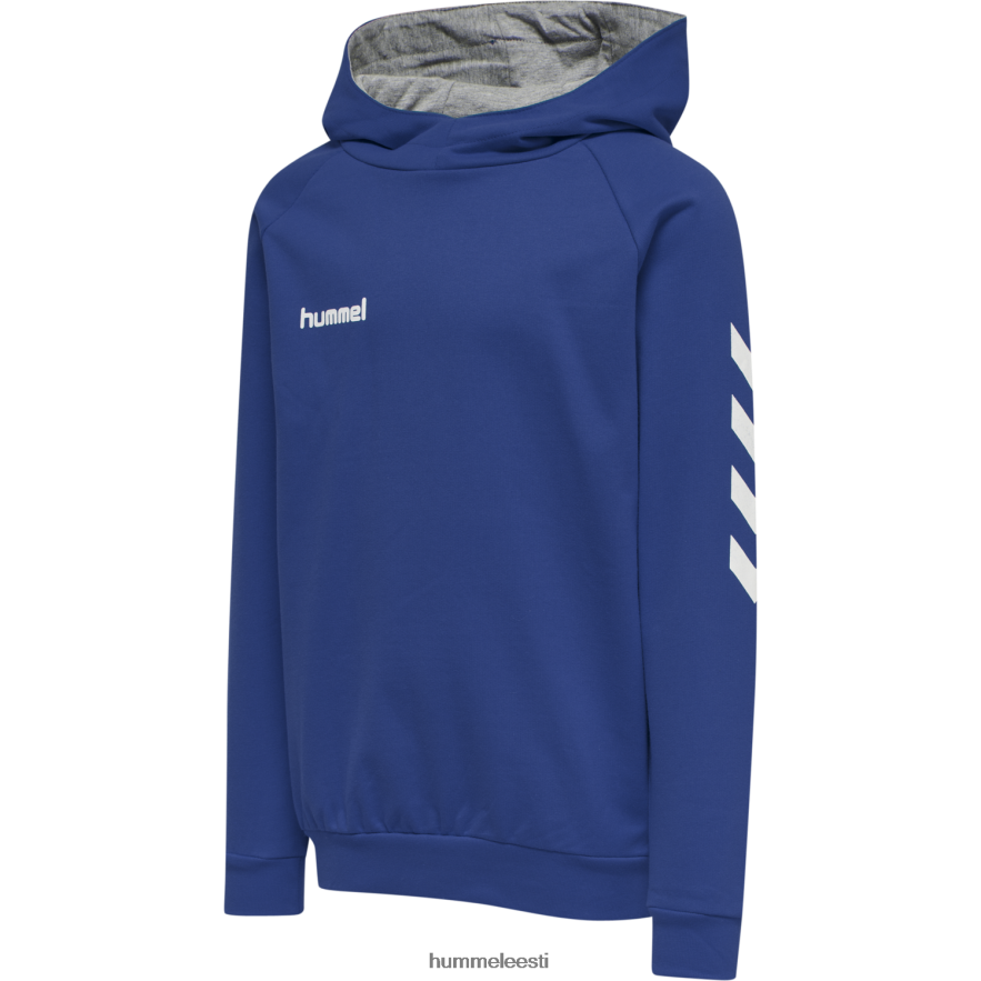 ee Hummel lapsed hmlgo puuvillane kapuuts N6442D7019 "hoodie ja dressipluusid"