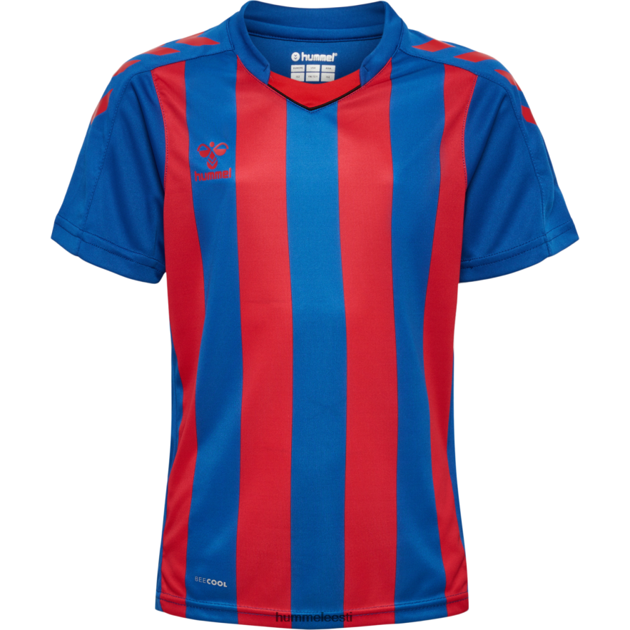 ee Hummel lapsed hmlcore xk triibuline trikoo s/s N6442D4870 \"lühikeste varrukatega kampsun\"