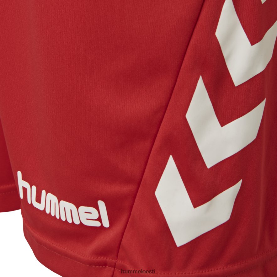 ee Hummel lapsed hmlpromo duo komplekt N6442D6467 \"meeskonna t-särgi ja lühikeste pükste komplekt\"