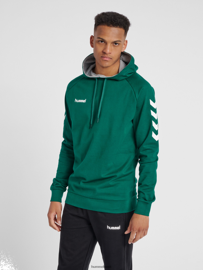 ee Hummel mehed hmlgo puuvillane kapuuts N6442D1389 "Chevron varrukatega kapuuts"