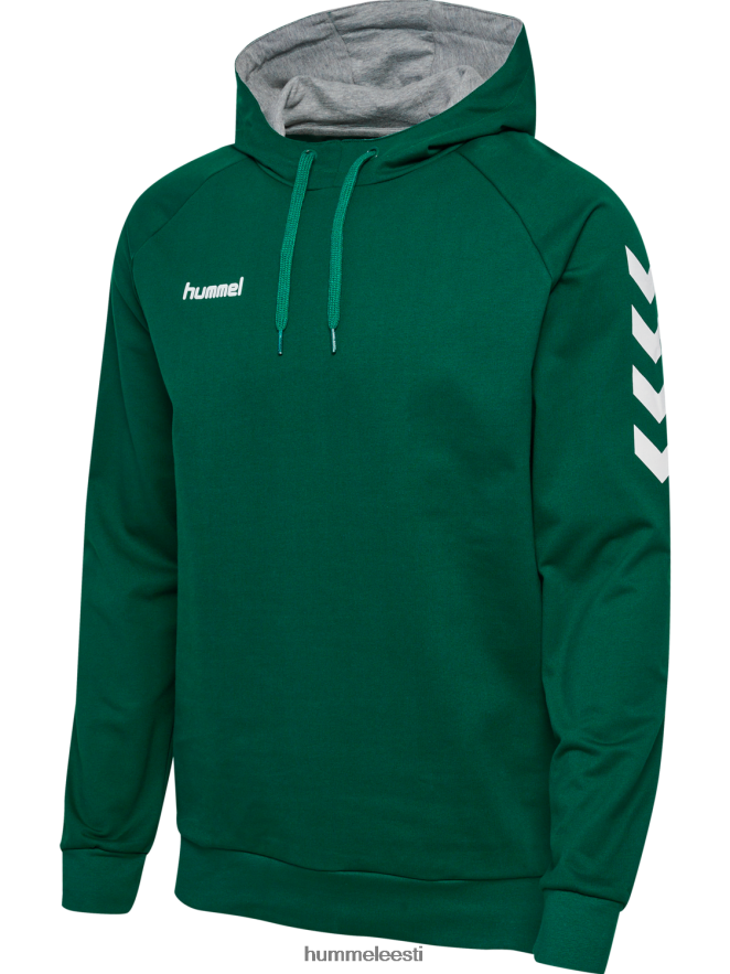 ee Hummel mehed hmlgo puuvillane kapuuts N6442D1389 \"Chevron varrukatega kapuuts\"