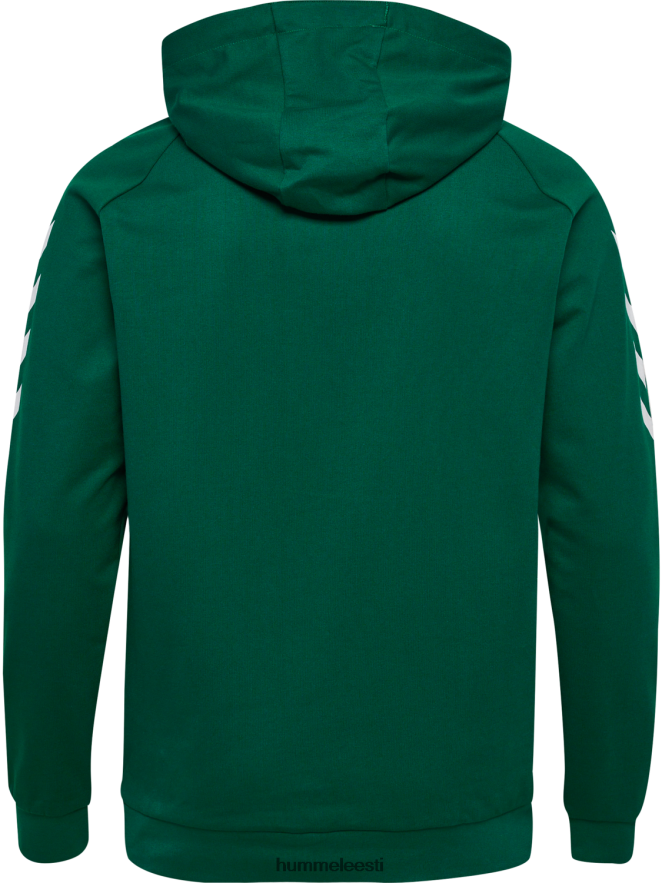 ee Hummel mehed hmlgo puuvillane kapuuts N6442D1389 \"Chevron varrukatega kapuuts\"