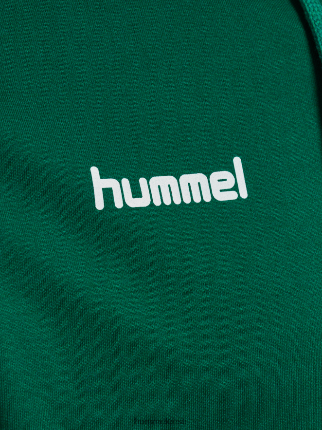 ee Hummel mehed hmlgo puuvillane kapuuts N6442D1389 \"Chevron varrukatega kapuuts\"