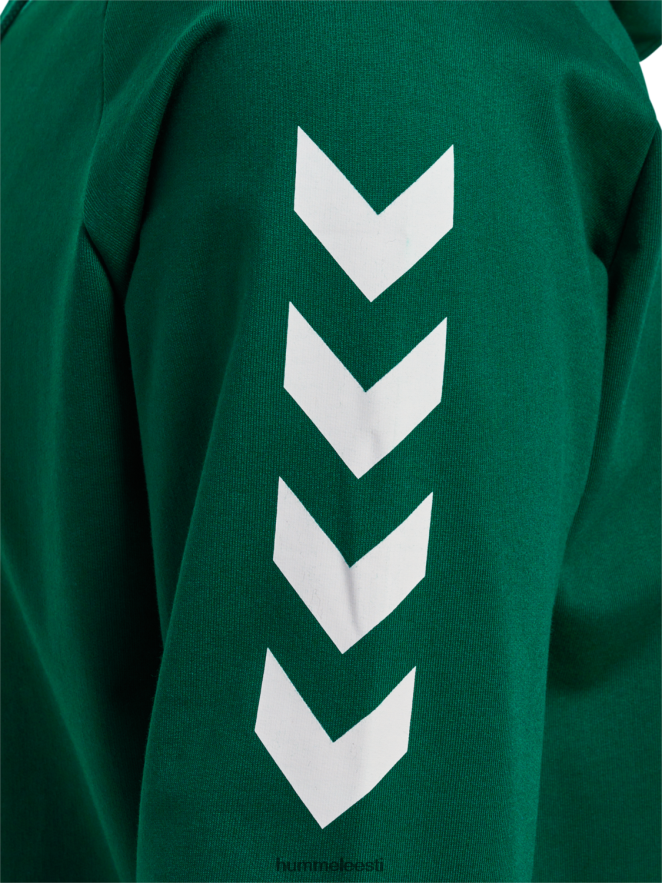 ee Hummel mehed hmlgo puuvillane kapuuts N6442D1389 \"Chevron varrukatega kapuuts\"