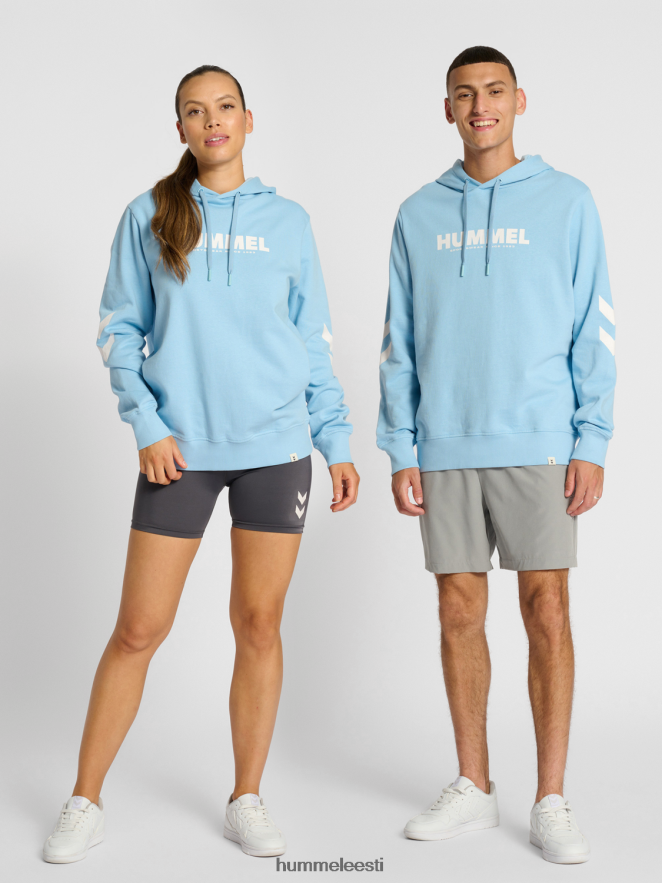 ee Hummel mehed hmllegacy logoga kapuuts N6442D963 "pusa"