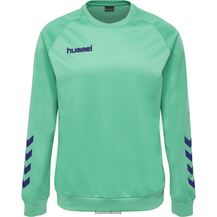 ee Hummel mehed hmlpromo polüst särk N6442D1569 \"kampsun\"