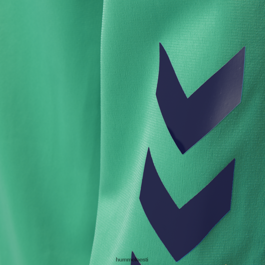 ee Hummel mehed hmlpromo polüst särk N6442D1569 \"kampsun\"