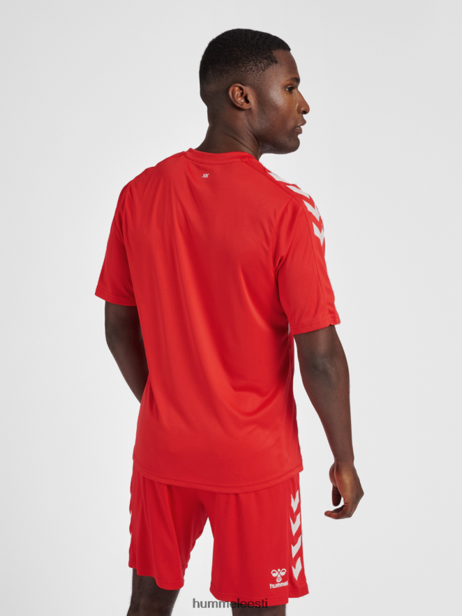 ee Hummel mehed hmlcore xk triibuline trikoo s/s N6442D513 \"lühikeste varrukatega kampsun\"