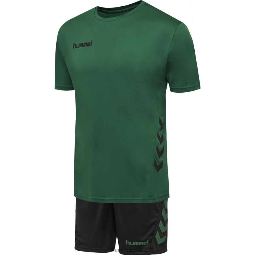ee Hummel mehed hmlpromo duo komplekt N6442D1142 "meeskonna t-särgi ja lühikeste pükste komplekt"